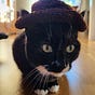 Moose's avatar