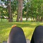 Porch Plants and Second Chances