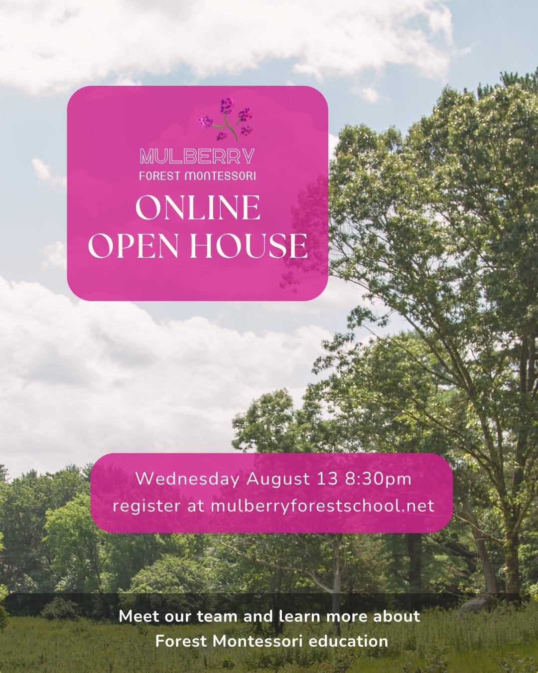 An image of a large meadow with trees in the background. In the foreground, fuscia letter boxes. The top one reads:   "Mulberry Forest Montessori" Online Open House."  below:  "Wednesday August 13 8:30pm register at mulberryforestschool.net"  At the bottom in white on darkened text: "Meet our team and learn more about Forest Montessori education"