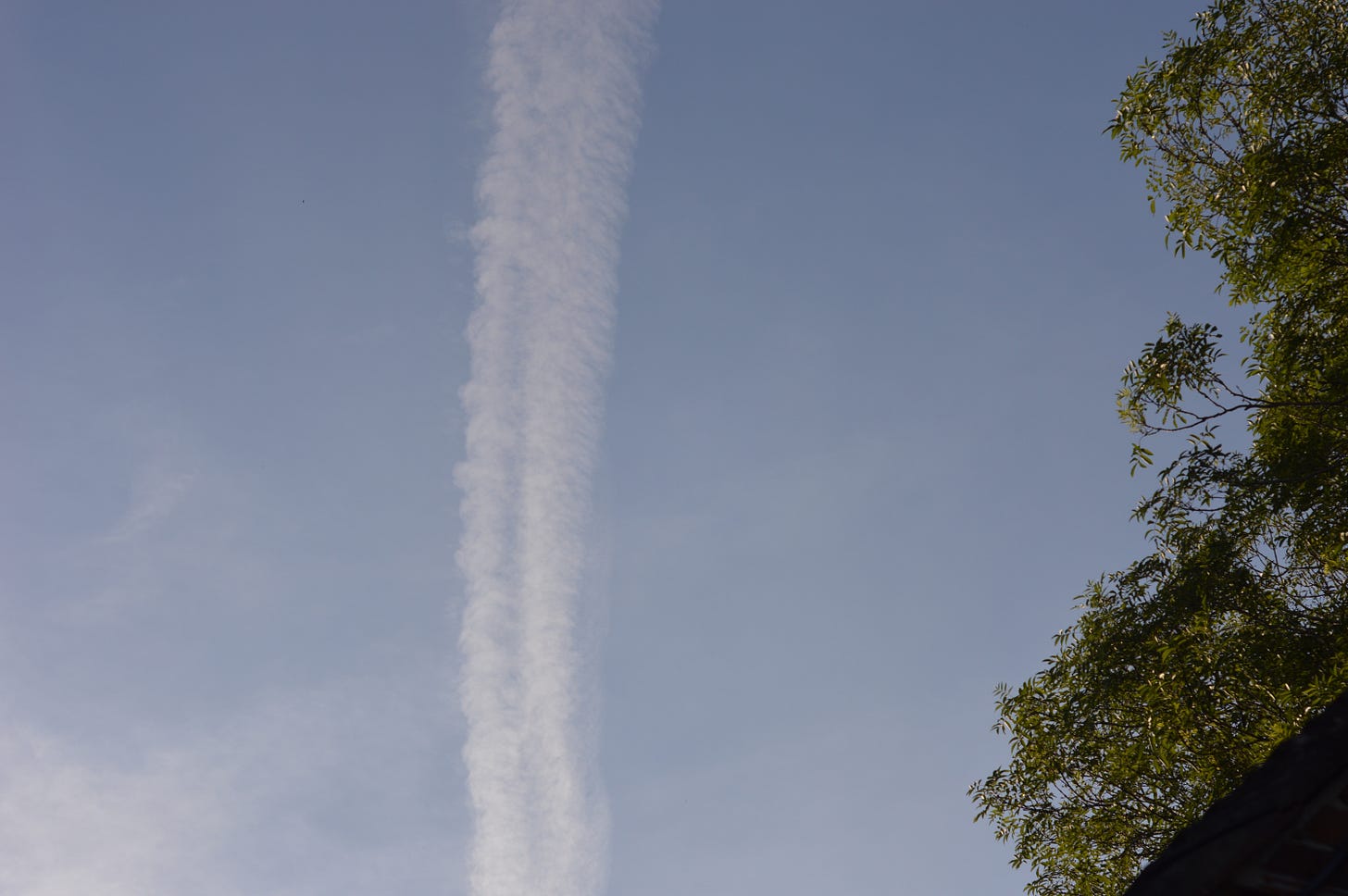 dsc_0019