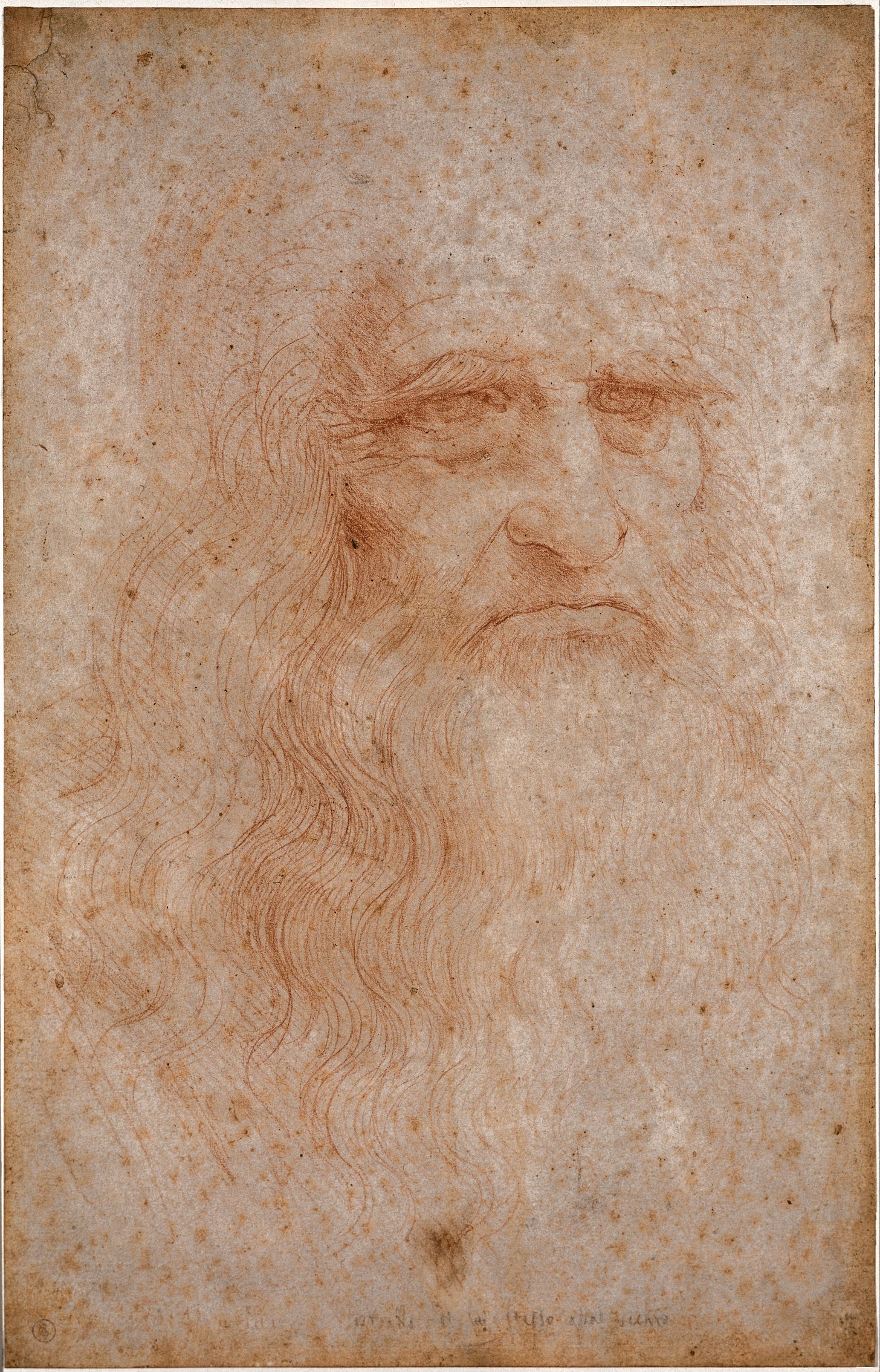 The red chalk drawing traditionally identified as a Leonardo da Vinci self portrait