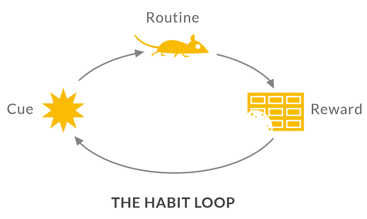 The Habit Loop |