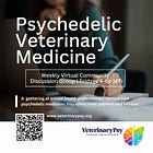 Week 5 | Psychedelics and Connection