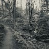 Soundwalk