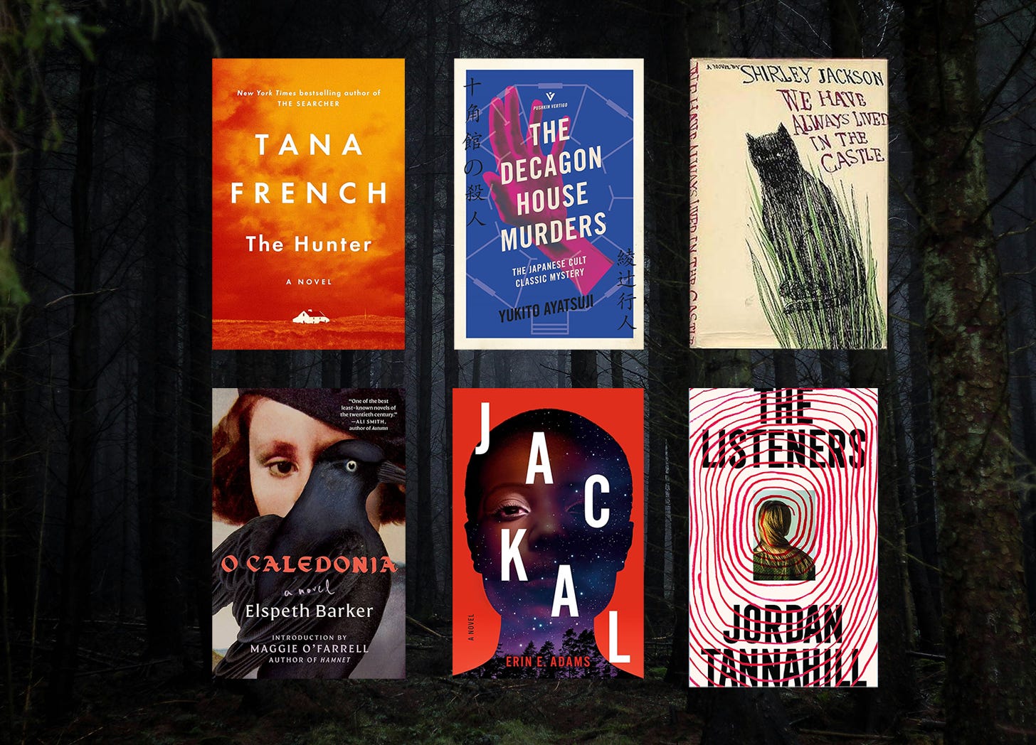 The Secret Place: A Novel By Tana French – Dublin Murder Squad Series, Paperback