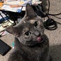 Trevor's avatar