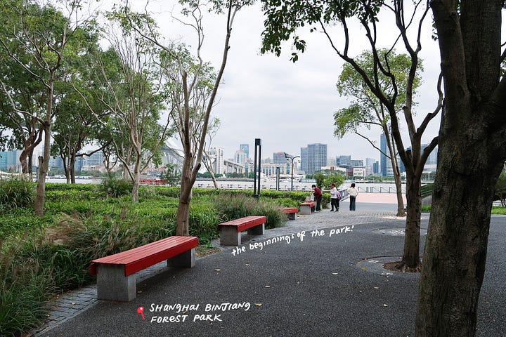 Shanghai Binjiang Forest Park