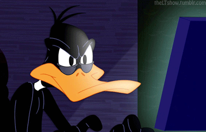 Gif dai Looney Tunes, con l'anatra Daffy Duck seduta al computer a digitare, mentre fissa con occhio fermo e diffidente lo schermo.
