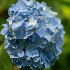 What Changes in Japan When June Begins?