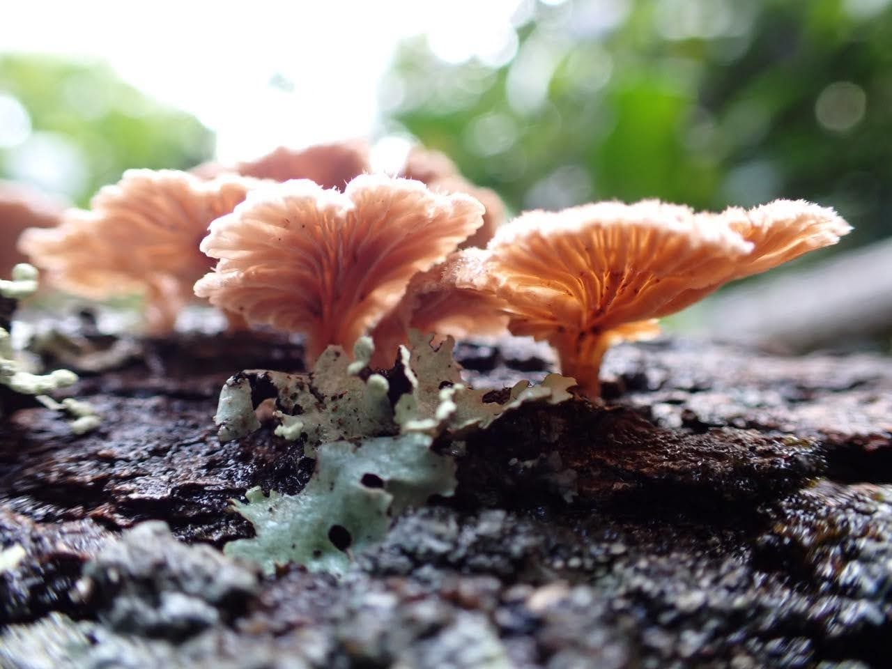 Artwork for Postcards from Emily