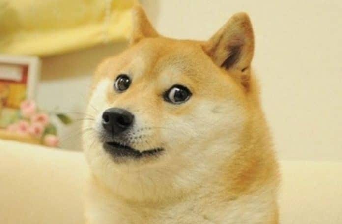 Dogecoin prices skyrocket over 100% amid viral TikTok video challenge