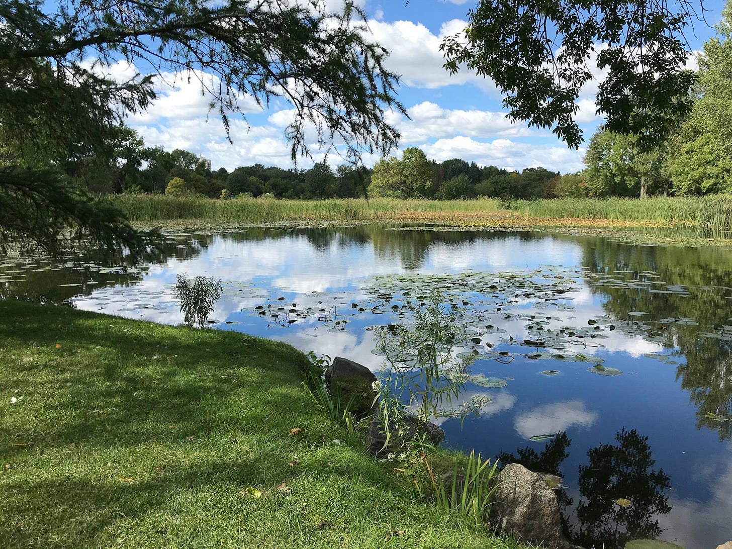 lake lake