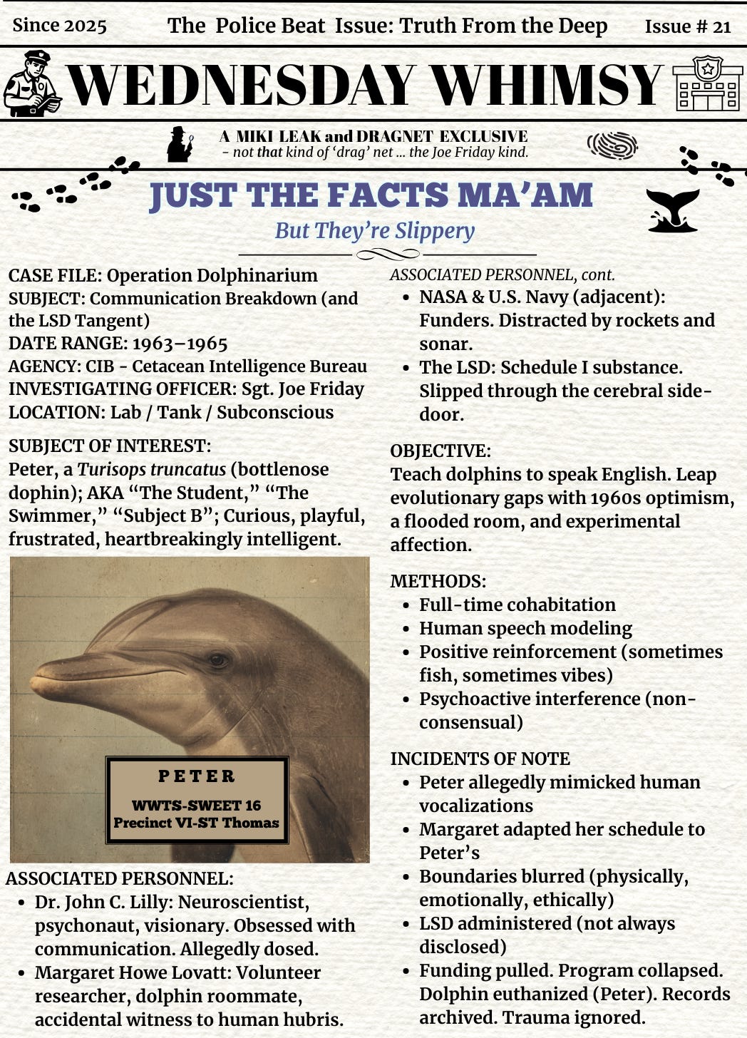 A vintage-style tabloid page titled Wednesday Whimsy (Issue #21, “Truth from the Deep”). Banner reads: “The Police Beat Issue” with a cartoon cop and typewriter icon. Headline: “JUST THE FACTS MA’AM — But They’re Slippery,” featuring whale tail and footprints motif.  Main case file: Operation Dolphinarium (and the LSD Tangent), covering the 1963–1965 dolphin-human communication experiment led by Dr. John C. Lilly. Subject of interest is Peter, a bottlenose dolphin, described as “curious, playful, frustrated, heartbreakingly intelligent.” Below is an image of Peter with a badge: “WWTS-SWEET 16, Precinct VI – ST Thomas.”  Sections summarize the objective (teach dolphins to speak English), methods (cohabitation, human speech modeling, psychoactive interference), and incidents of note: Peter mimicked human vocalizations, LSD may have been administered, boundaries blurred, funding pulled, Peter euthanized.  Notable personnel: Dr. John Lilly and Margaret Howe Lovatt. Lovatt is described as a “dolphin roommate, accidental witness to human hubris.”  Final notes reflect tragedy and lack of closure: “Records archived. Trauma ignored.”