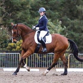 New combinations out to 'Try Dressage'