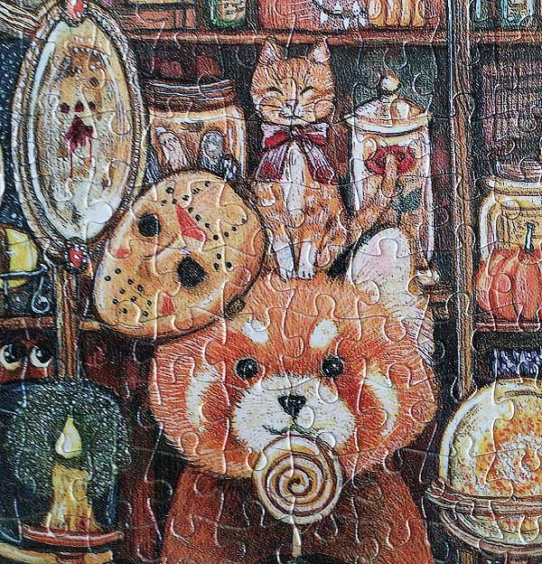Pintoo Coon Magic House Jigsaw Puzzle