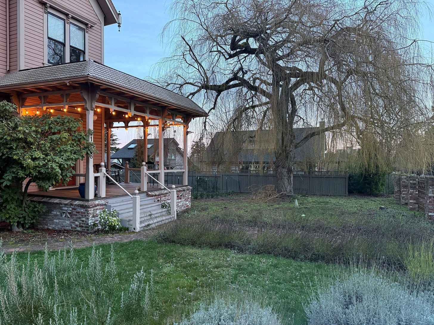 The willow in late winter.