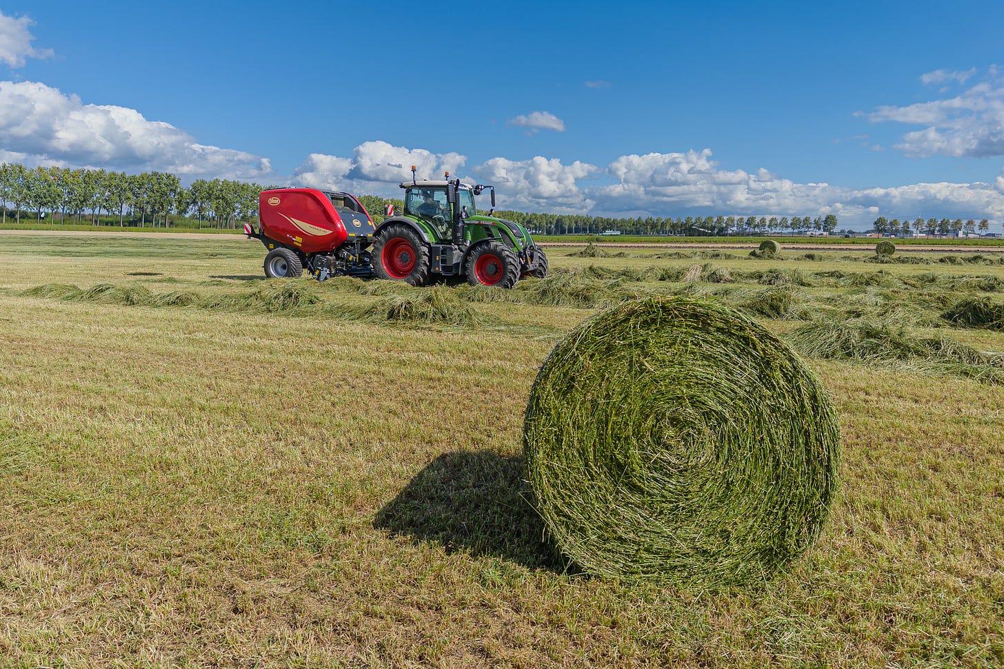 Auf einer frisch gemähten Wiese fährt ein roter Fendt-Traktor mit einer rot-gelben Rundballenpresse. Vorne rechts dominiert ein fertiger Rundballen aus grünem Futtergras das Bild, während im Hintergrund weitere Ballen auf dem Feld liegen. Die Szene wirkt sommerlich und weit, mit klarem Licht, blauem Himmel und einer langen Baumreihe am Horizont. Auf einer frisch gemähten Wiese fährt ein roter Fendt-Traktor mit einer rot-gelben Rundballenpresse. Vorne rechts dominiert ein fertiger Rundballen aus grünem Futtergras das Bild, während im Hintergrund weitere Ballen auf dem Feld liegen. Die Szene wirkt sommerlich und weit, mit klarem Licht, blauem Himmel und einer langen Baumreihe am Horizont.