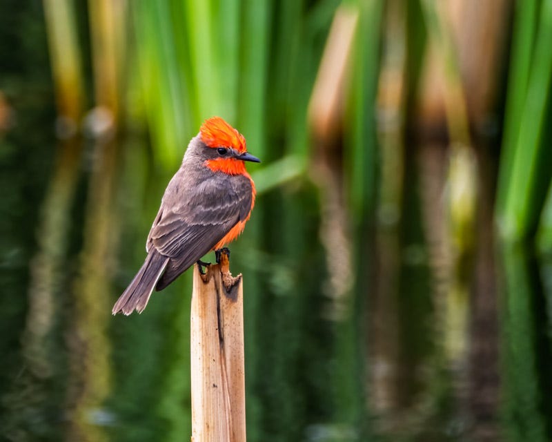 20250315-Sweetwater-335-Edit.jpg