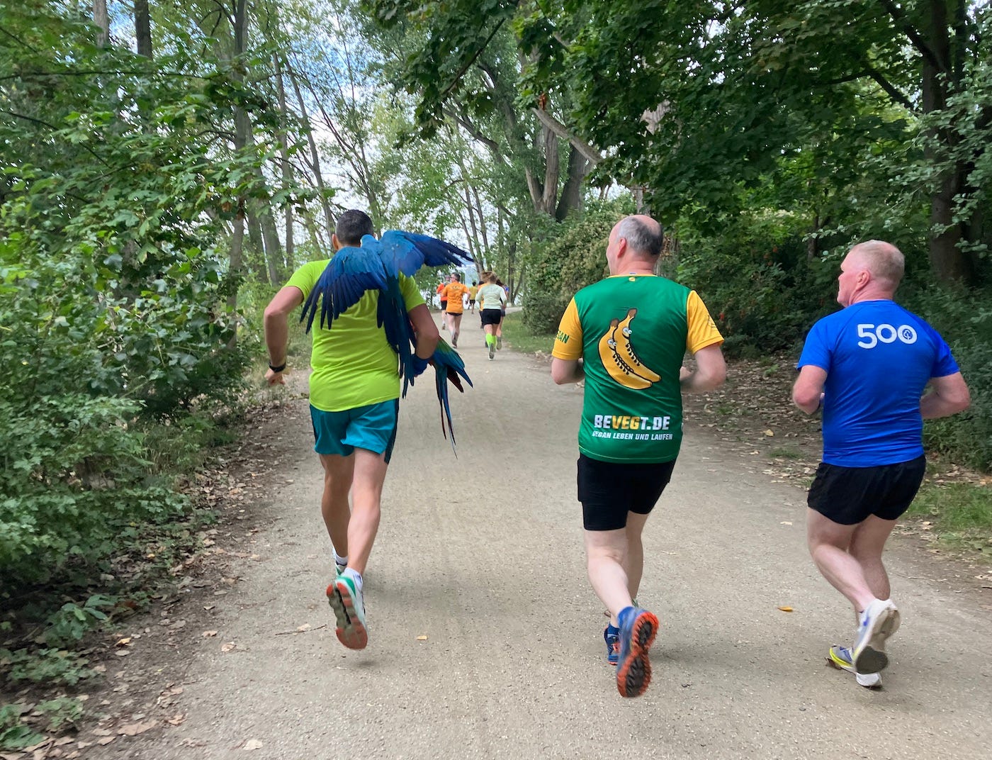 Man running with parrot on shoulder and another balanced on his right arm Man running with parrot on shoulder and another balanced on his right arm