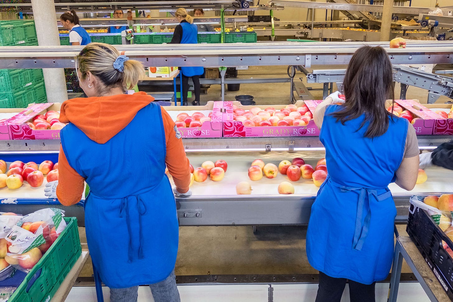 MitarbeiterInnen verarbeiten die Äpfel im Inoverde-Aufbereitungsstandort in Charrat VS. MitarbeiterInnen verarbeiten die Äpfel im Inoverde-Aufbereitungsstandort in Charrat VS.