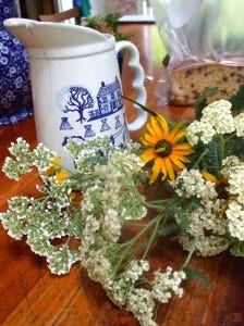 day begins here vase blackeyed