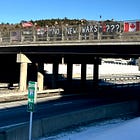 The Contrarian Covers the Democracy Movement