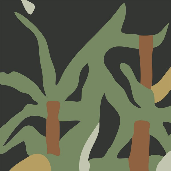 valet-nature-2015-album-kranky