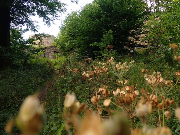 Castle courtyard and nature