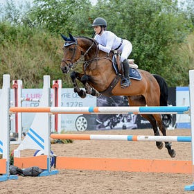 Priestley takes top prize at The Meadows