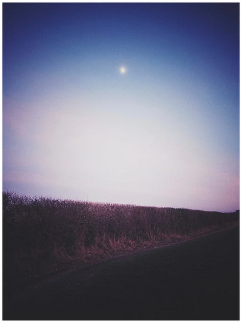 Photos of dusk in Wiltshire countryside 