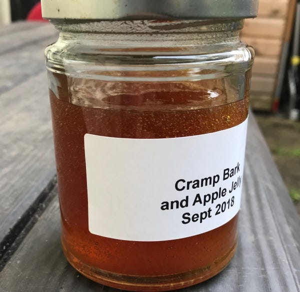 Jar with fruit jelly, ingredients and fruits on the bush