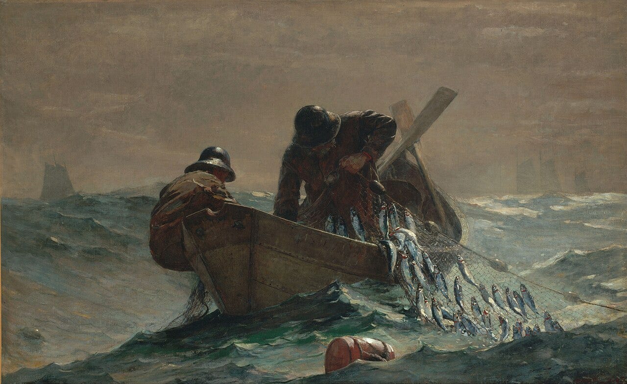 Men hauling herring net