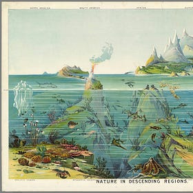 Fantasy Rooted in Ecology