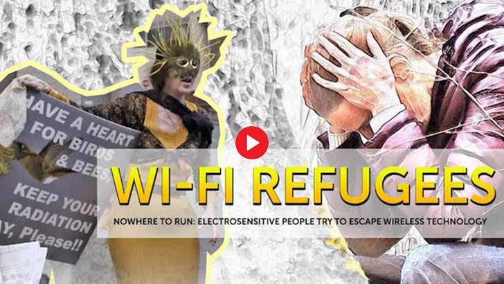Wi-Fi Refugees