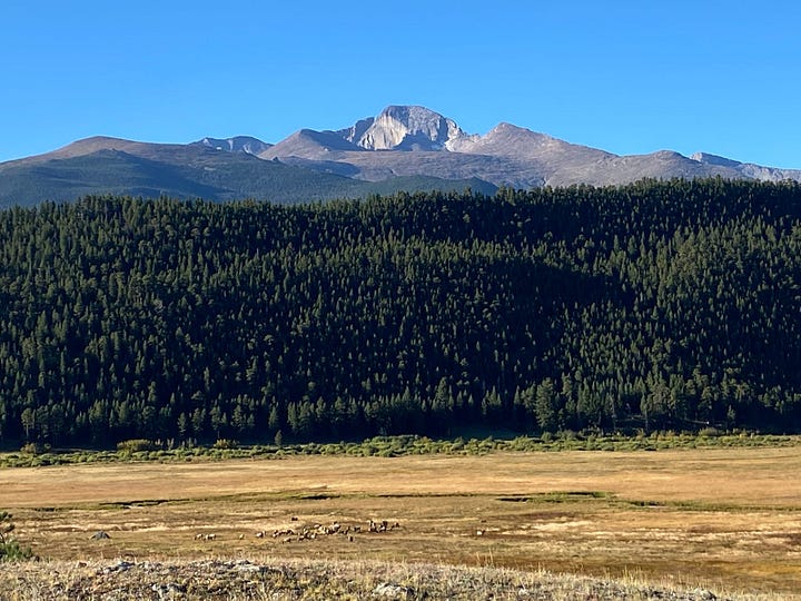 Photos of the Moraine Park area and elk.