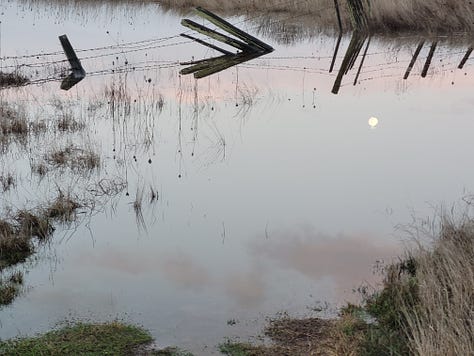 Laguna de Santa Rosa reflecting the clouds and moon
