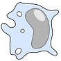 Audiommunity Org's avatar