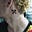 Avatar de Imoral