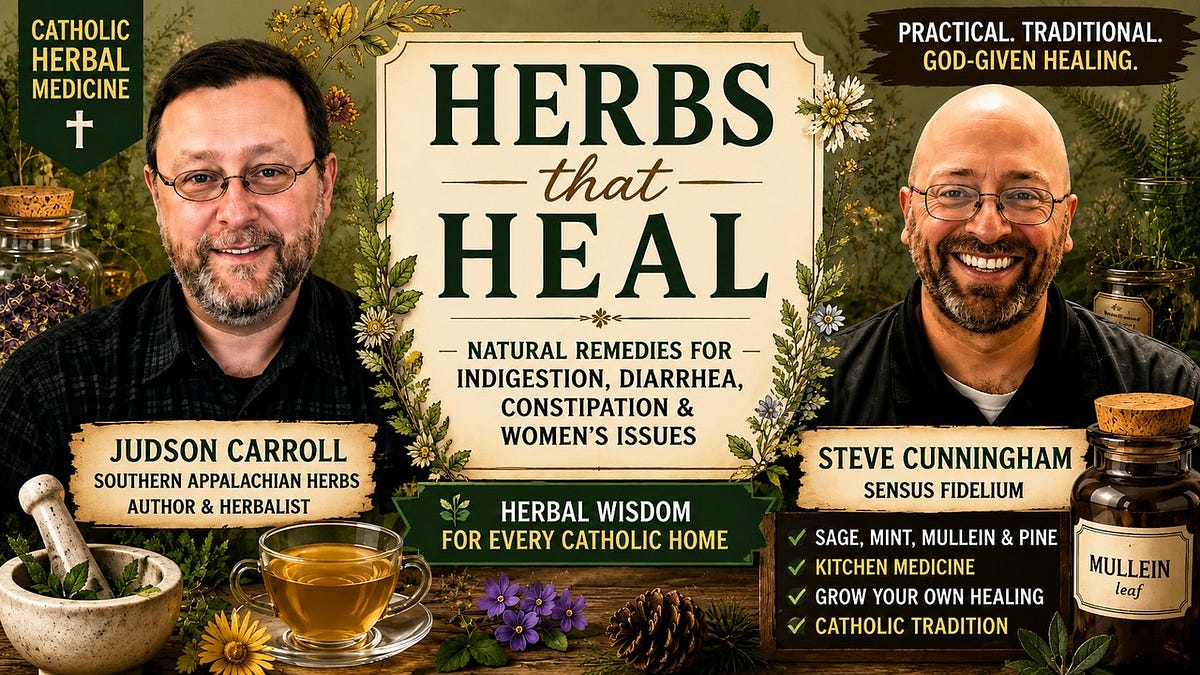 Show 299: Herbs that Heal: Indigestion, Diarrhea, & Gut Issues