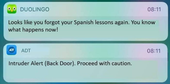 30 Hilarious Duolingo Memes | Bored Panda