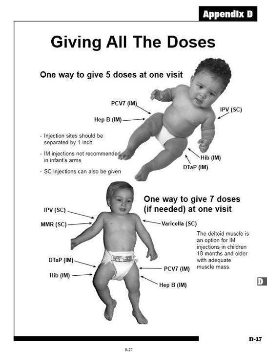 pediatrician-manual-multiple-vaccines-one-office-visit pediatrician-manual-multiple-vaccines-one-office-visit