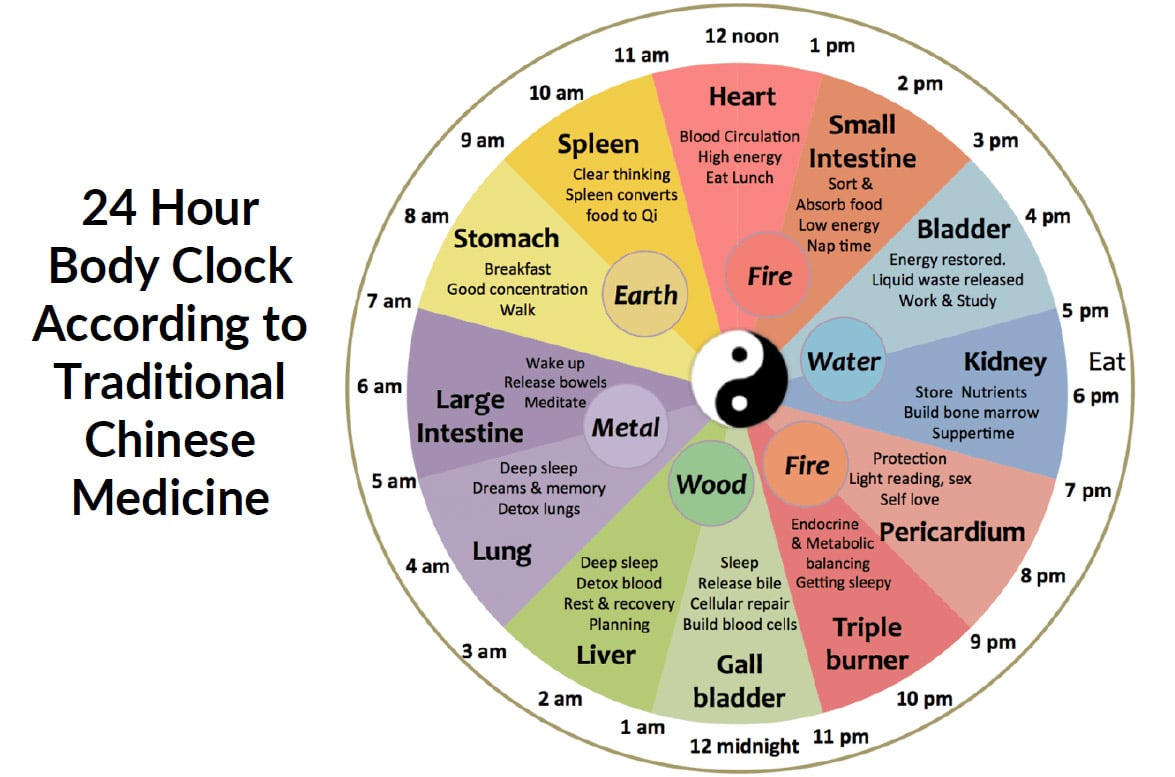 Chinese medicine 24-hour body clock