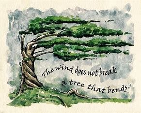 Image result for the wind does not break a tree that bends 