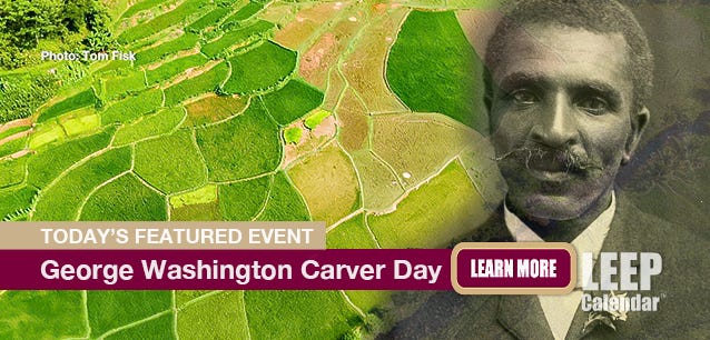George Washington Carver's work in agricultural sciences is why we rotate crops and have abundant sweet potatoes, peanuts, and soybeans today. George Washington Carver's work in agricultural sciences is why we rotate crops and have abundant sweet potatoes, peanuts, and soybeans today.