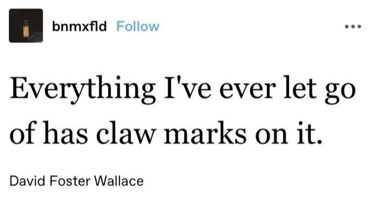This may contain: a tweet that reads, everything i've ever let go of has claw marks on it