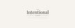 The Intentional Closet by Jaimi Stewart