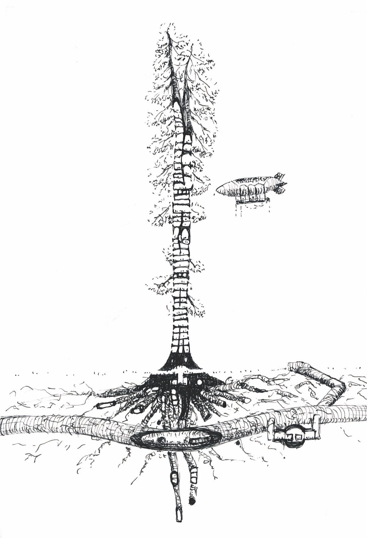 woonsequioa