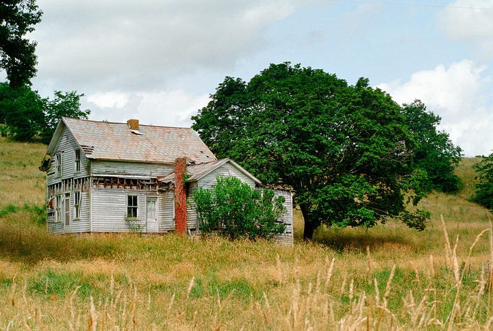 Images taken using Portra 800 film