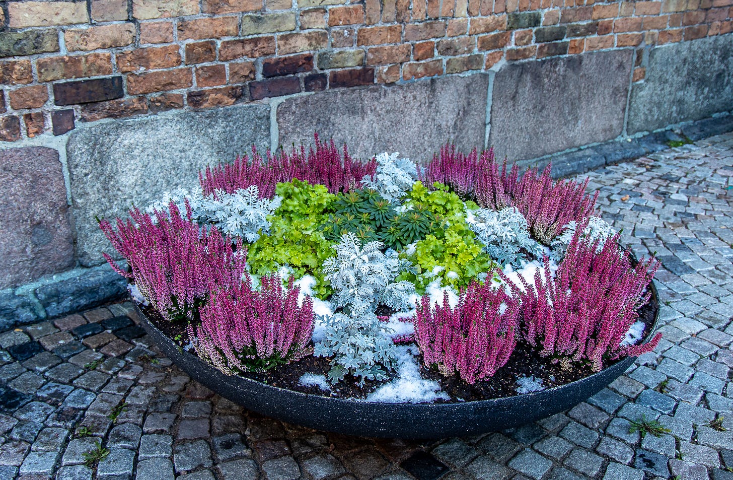 A potted plants in a stone bowl

AI-generated content may be incorrect.