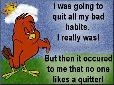 Bad habits, no quitter meme : Second Language Strategies